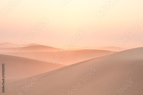 Quiet moment in desert during sunrise. Dubai  UAE.