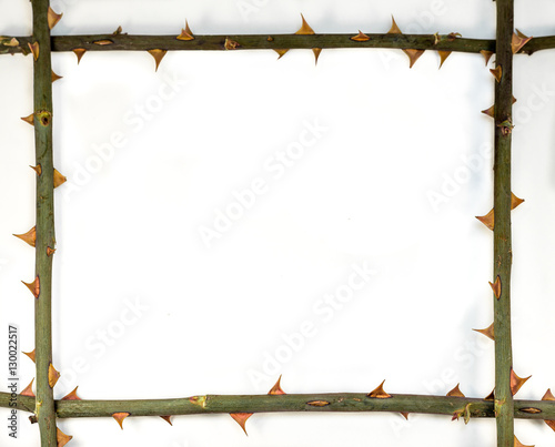Abstract - frame from stem with thorn - mind limitation