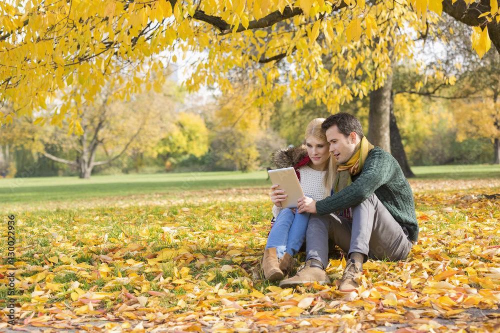 Full length of couple using tablet PC in park during autumn Full length of couple using tablet PC in park during autumn