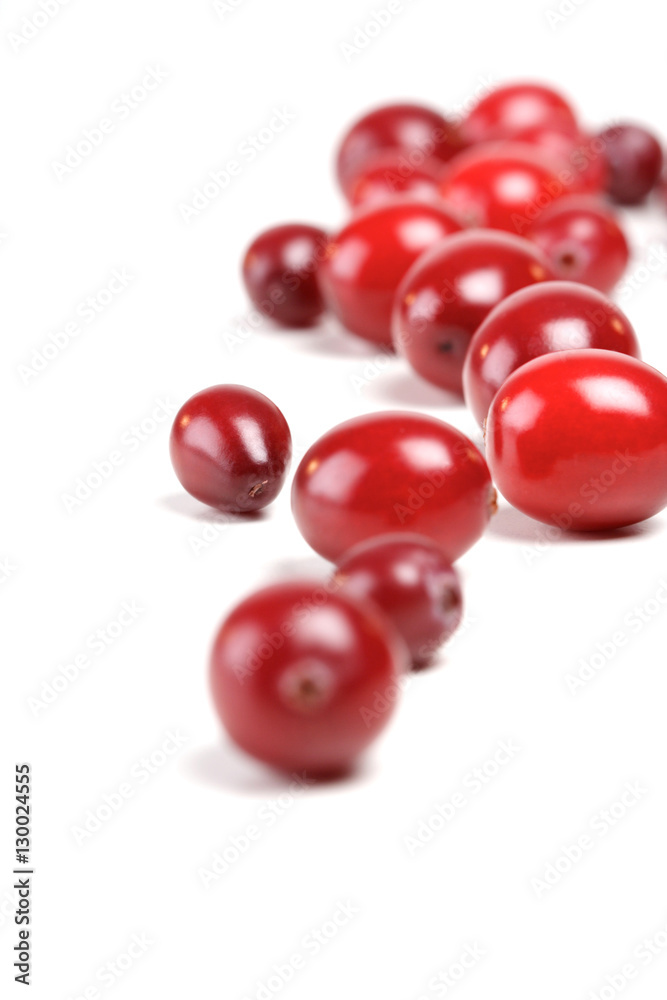Cranberries on white background - studio shot Cranberries on white background - studio shot