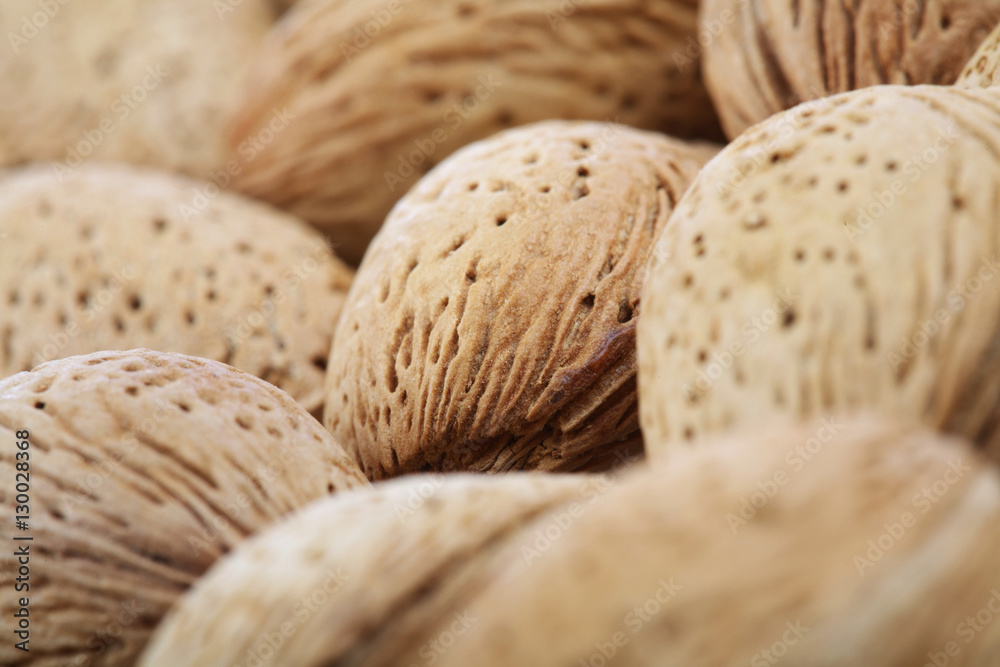 Almond in shell on white background Almond in shell on white background