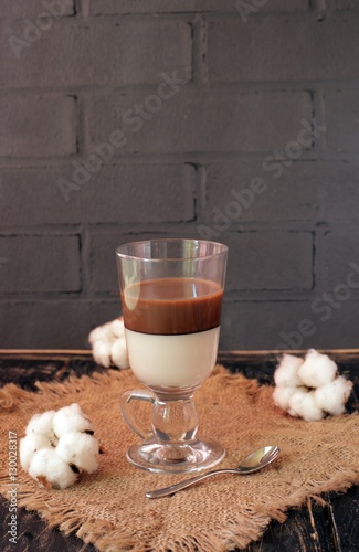 Homemade chocolate and vanilla  pudding with cocoa and almond milk in the tall glass