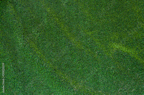 artificial grass texture for background