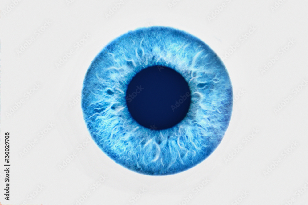 Closeup of blue eye on white background - obrazy, fototapety, plakaty 