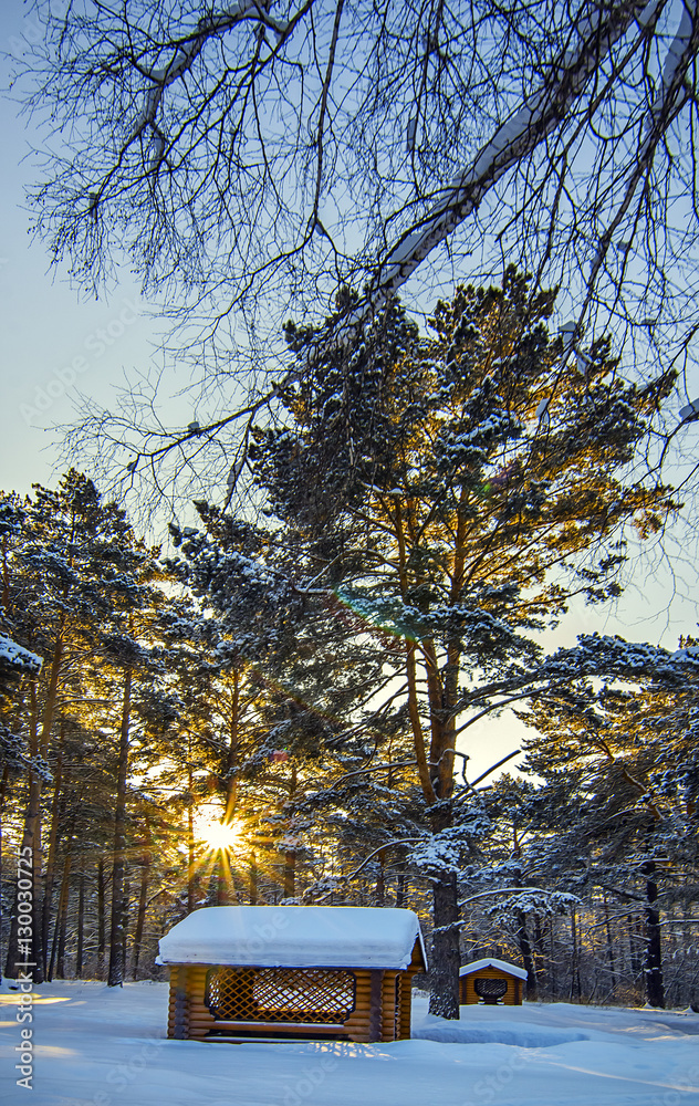 Wooden cabin in winter park under big tree with snow