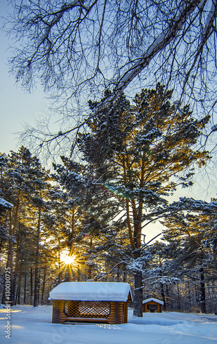Wooden cabin in winter park under big tree with snow