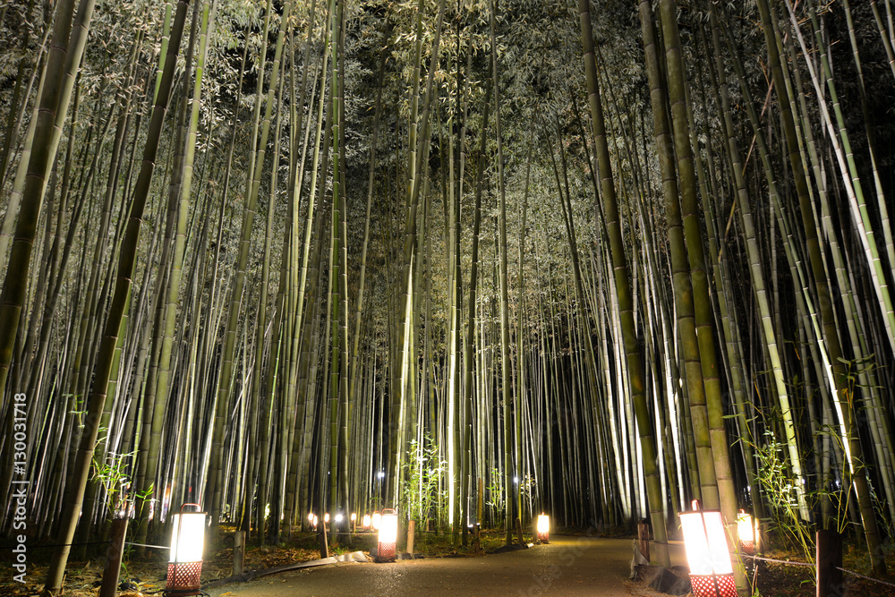 Naklejka premium Lantern lights on a pathway in a bamboo grove during Arashiyama Hanatouro festival in Japan