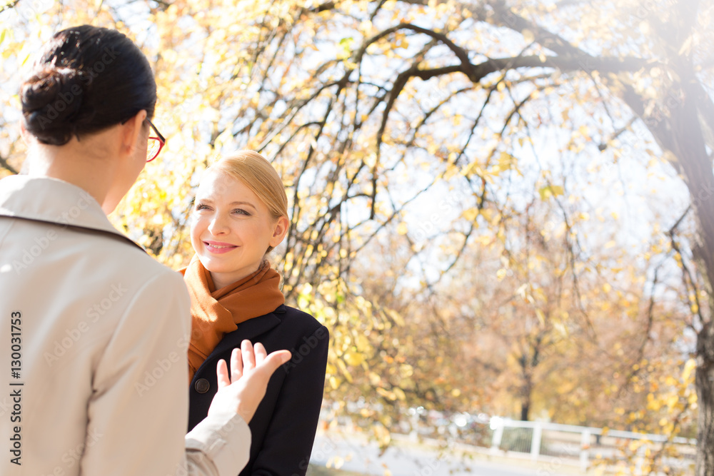 Businesswomen conversing at park on sunny day Businesswomen conversing at park on sunny day