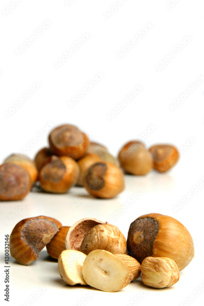 Studio shot of hazelnuts at white background Studio shot of hazelnuts at white background