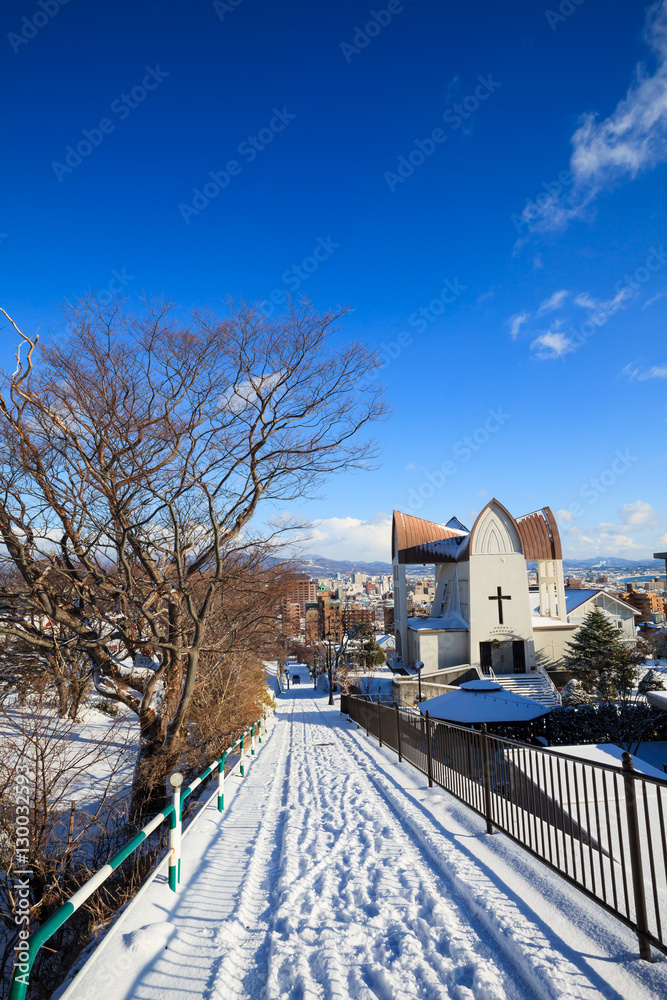 雪のチャチャ登りと函館の街