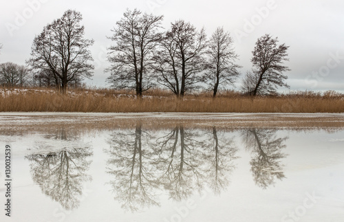 Beautiful winter trees reflecting in river. Rural landscape.