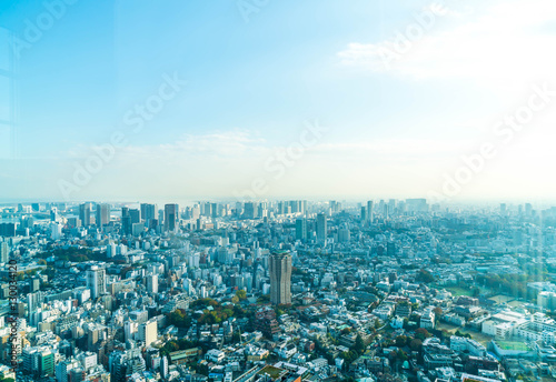 Canvas Print Tokyo city skyline with Tokyo Tower