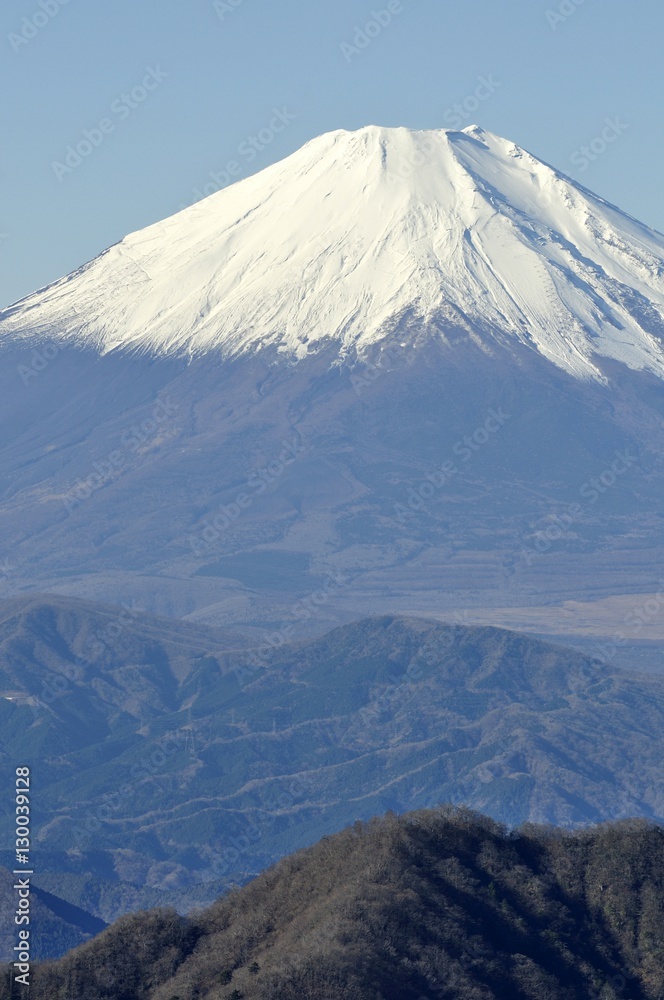 丹沢 丹沢山からの富士山