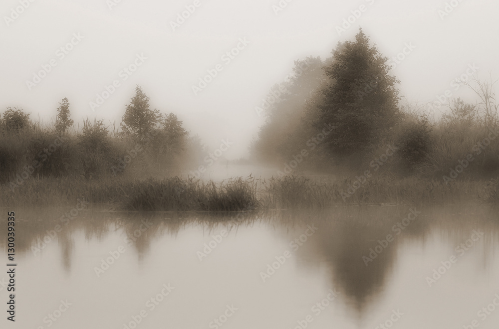Obraz premium Landscape with morning mist