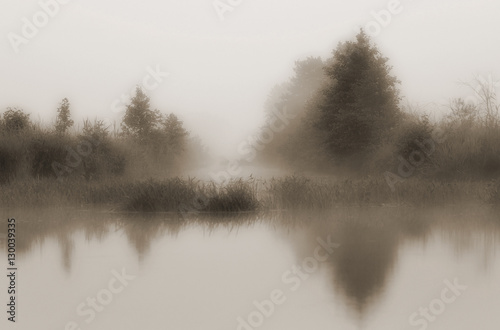 Landscape with morning mist