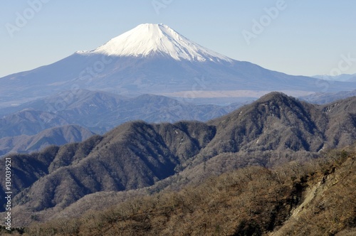 丹沢からの富士山