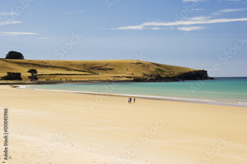 Golden Sand Beach in Perkins Bay, Stanley, Tasmania photo