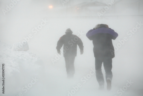 Arctic winter