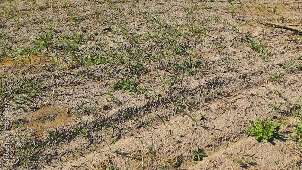 Barren soil, panorama. Barren soil, panorama.