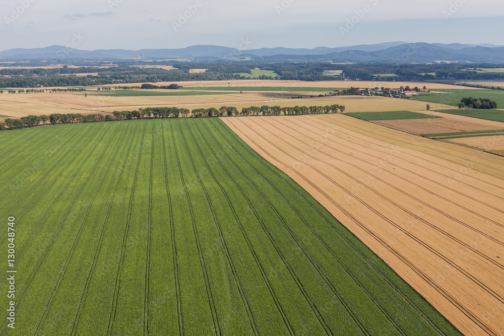 aerial view of green harvest fields