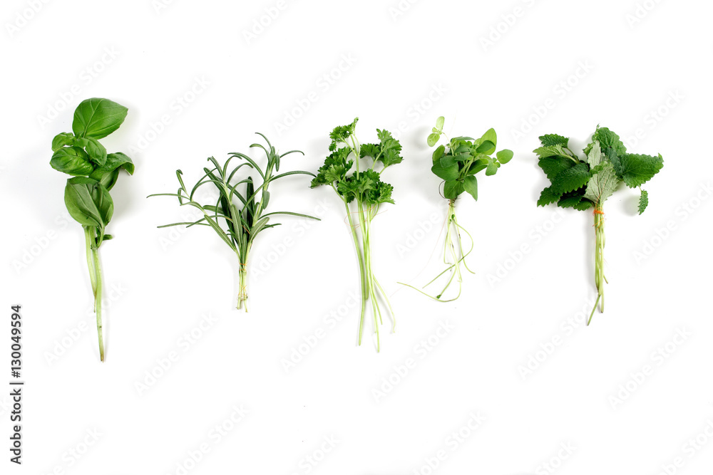 Studio shot of fresh herbs Studio shot of fresh herbs