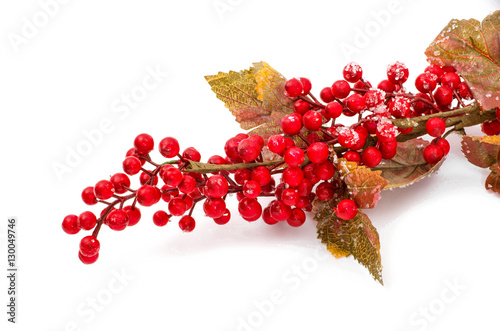 Christmas seasonal border