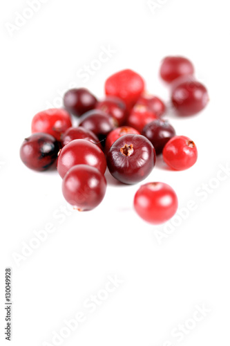 Cranberries on white background - studio shot