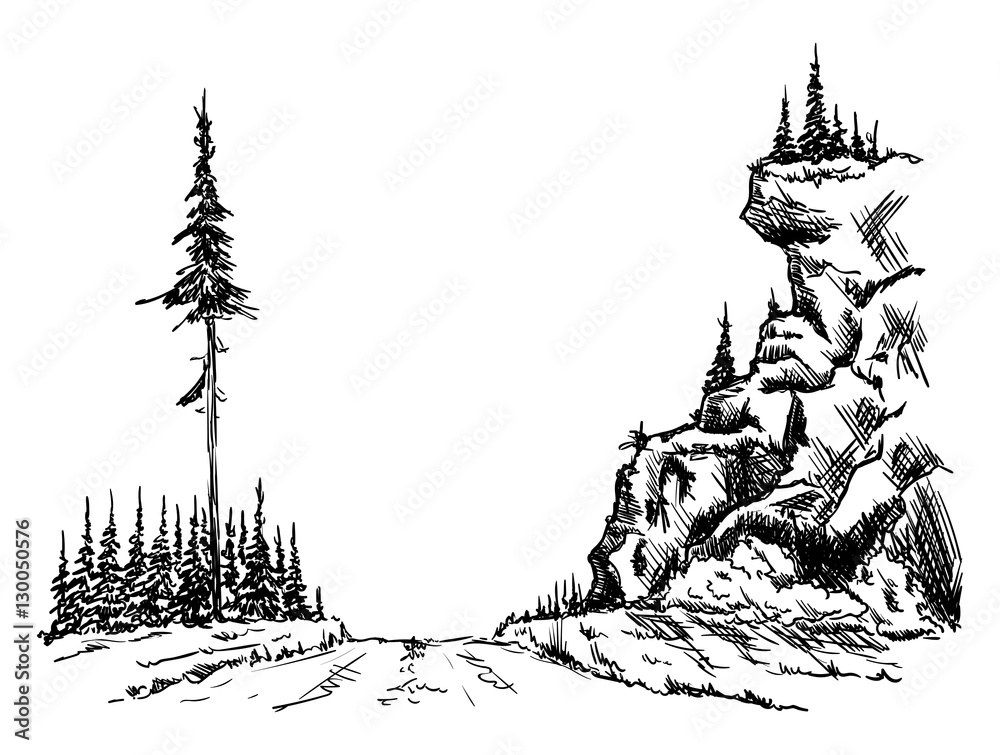 Obraz premium forest path