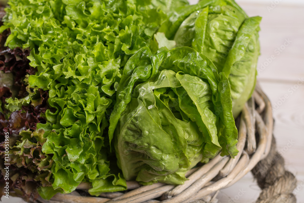 Variety of green and red, roma fresh lettuce salad leaves - healthy vegetables Variety of green and red, roma fresh lettuce salad leaves - healthy vegetables