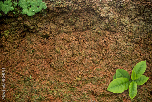 Image of red soil texture