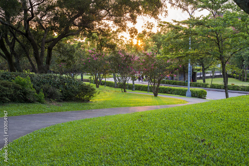 Landscape of Park at sunset time
