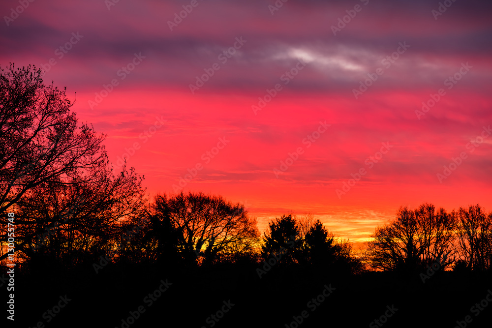 Sonnenaufgang mit Bäumen in Vorder- und Hintergrund