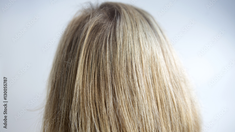 closeup of back of head with long blond hair closeup of back of head with long blond hair