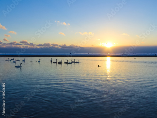 北海道ヌッキベツ川　夕日と白鳥 © hoshi