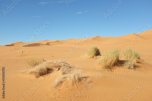 Dune Landscape of Sahara Desert near Merzouga in Morocco