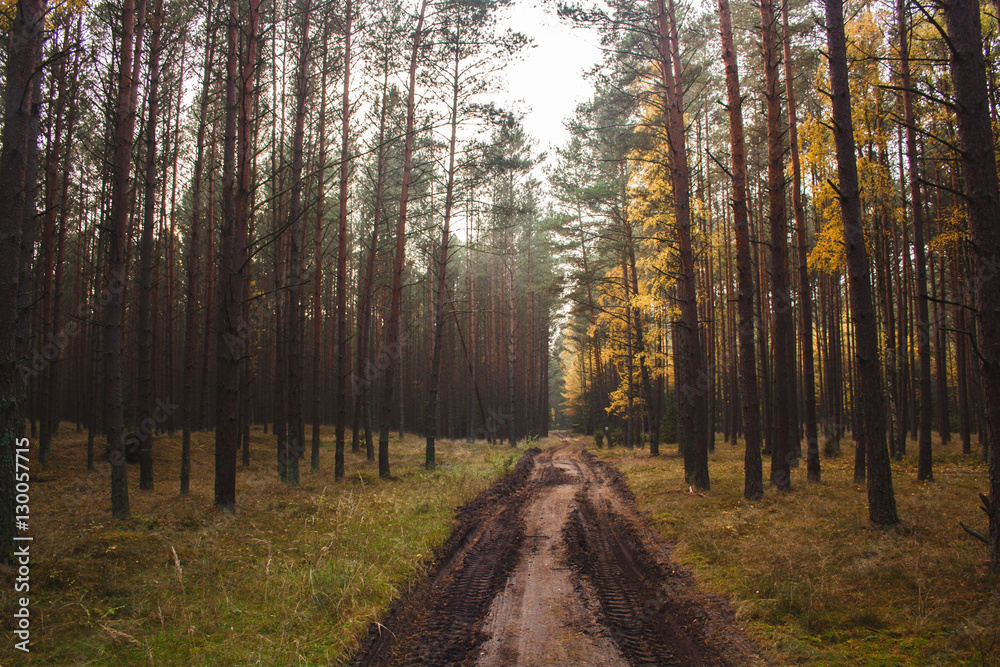 Autumn in Poland