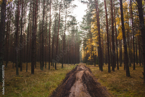 Obraz na płótnie Autumn in Poland w salonie