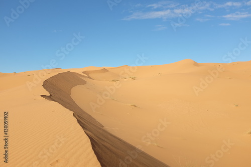 Dune Landscape of Sahara Desert