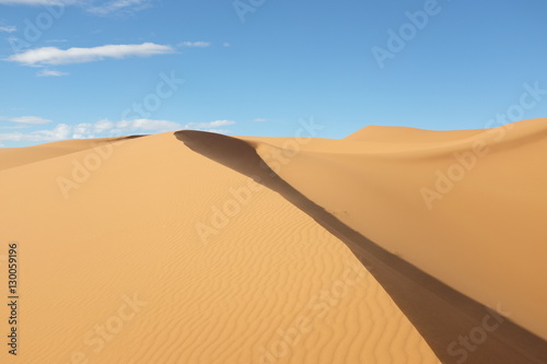 Dune Landscape of Sahara Desert