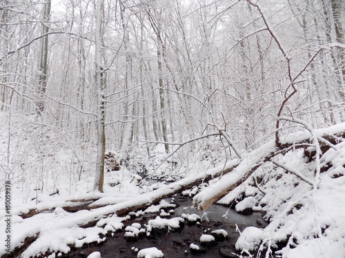 Stream in snowy forest during winter, many snow in nature