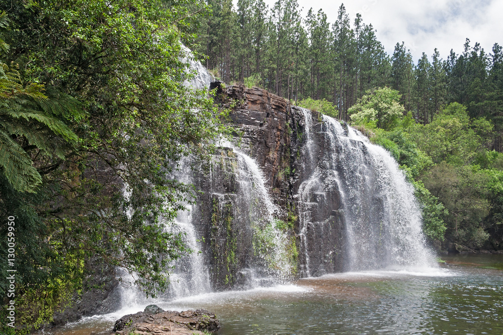 Obraz premium The forest falls of the mac mac river in the north of sabie, south africa 