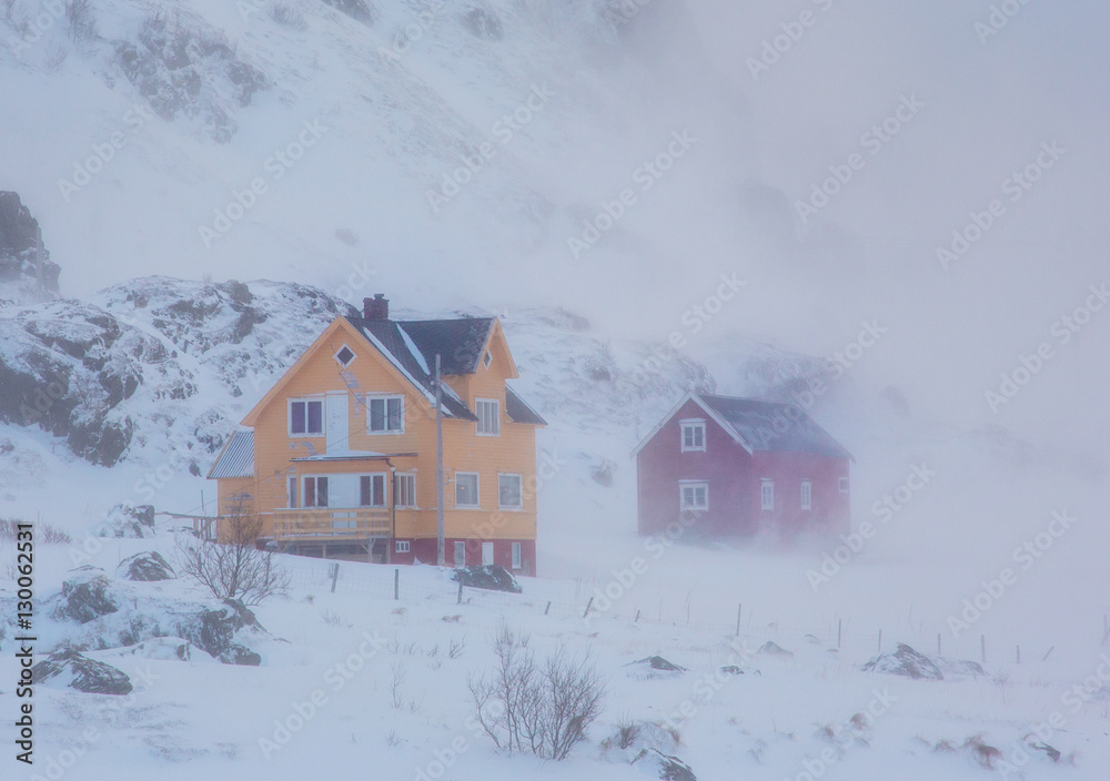 Arctic winter Arctic winter
