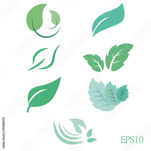 Mint icons set. Collection of green leaves. Different shapes in modern flat style.