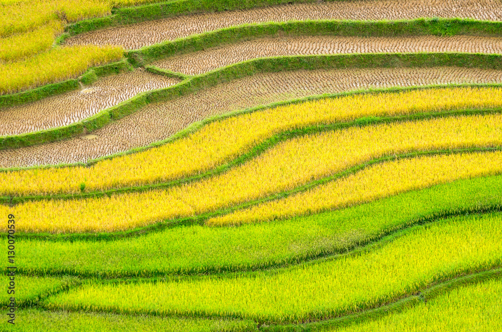 Mu Cang Chai