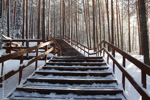 Staircase in winter in the forest photo