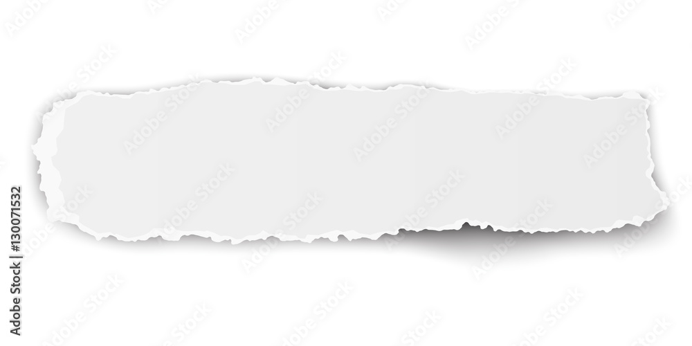 Vector oblong ragged piece of paper isolated on white background