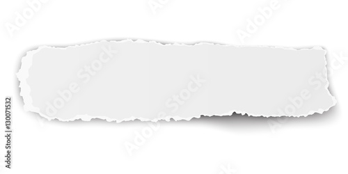 Vector oblong ragged piece of paper isolated on white background