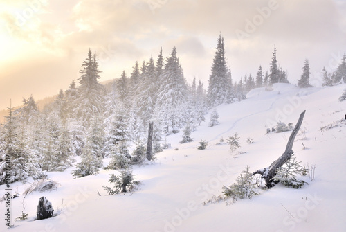 Dawn in mountain on snow © yablochniuk