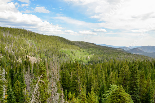 spruce trees and pine wood on the mountain slopes Rocky Mountain National Park, Estes Park, Colorado, United States