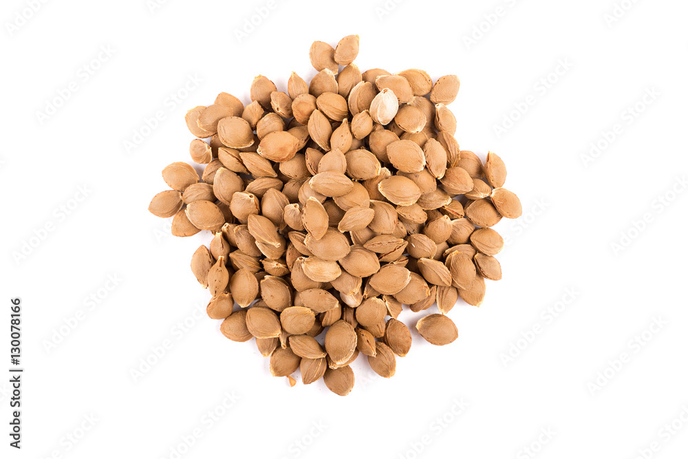 apricot pits isolated apricot pits isolated